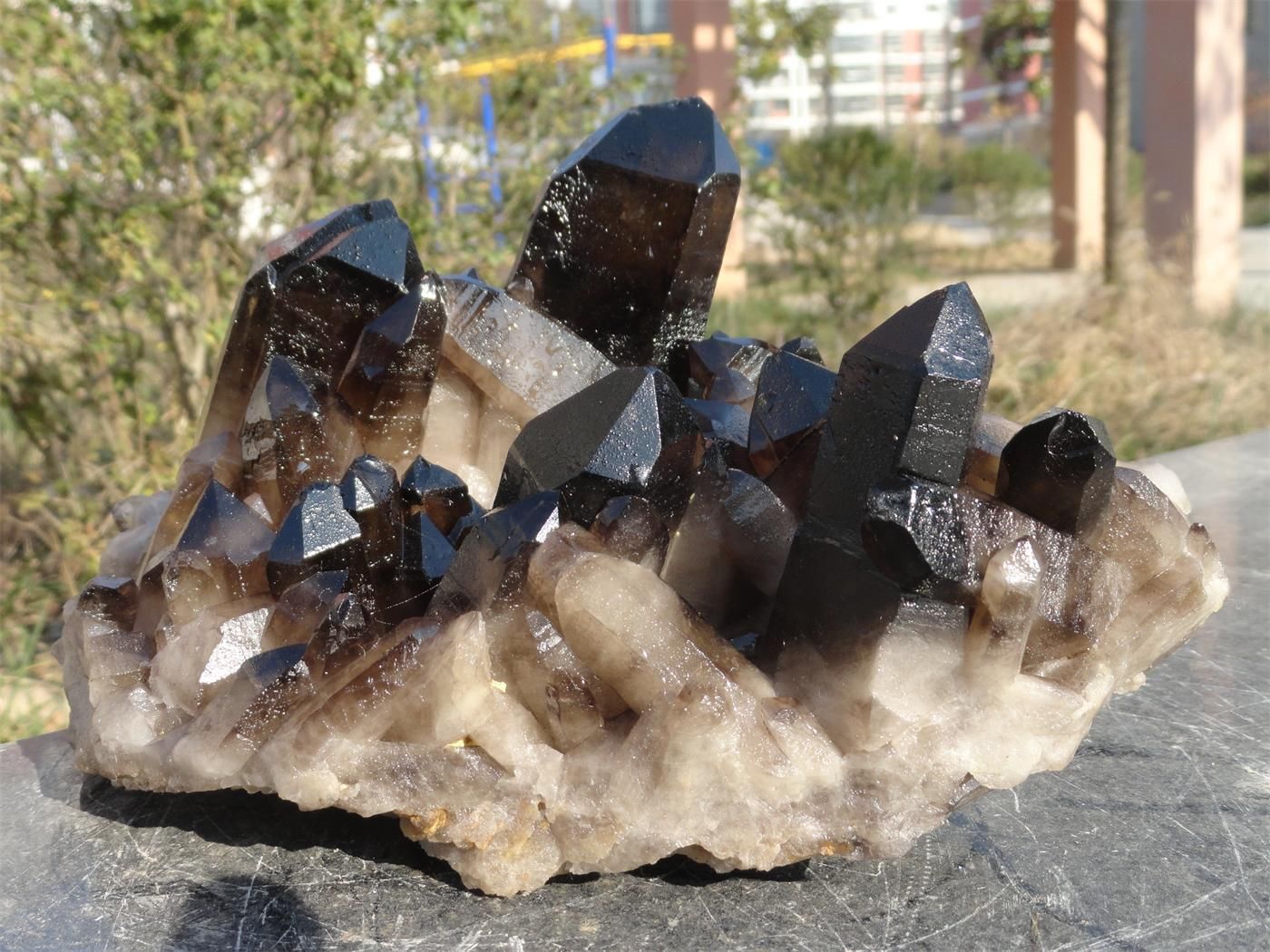 Tibetan Black Quartz clear the auric field and fill the physical and energetic bodies with full-spectrum Light. 4627